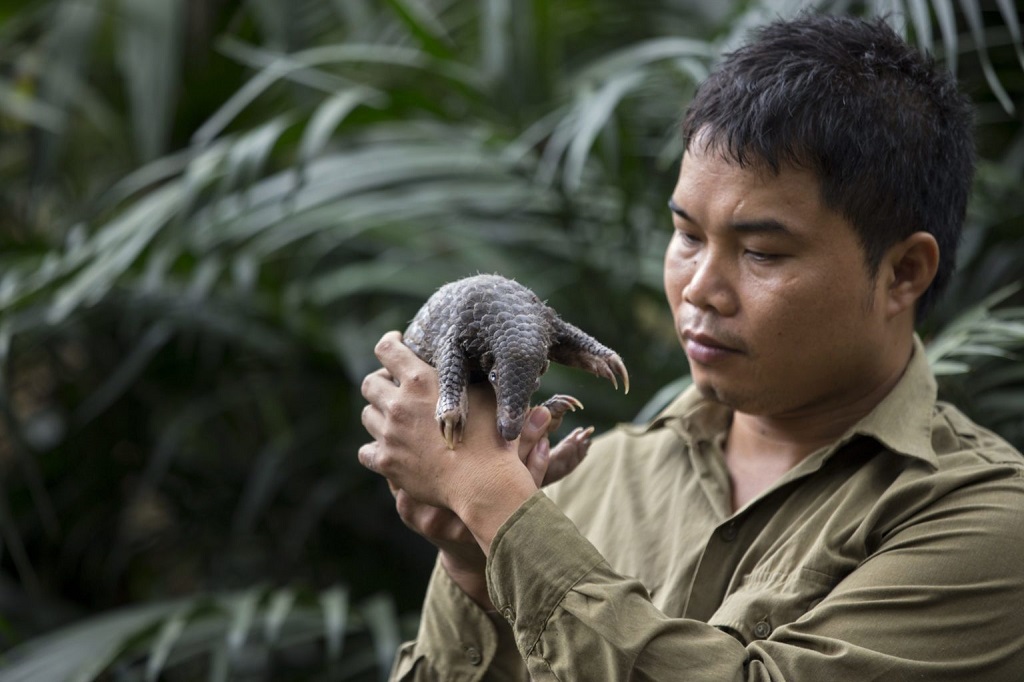 Man caught trapping wild birds in protection forest in central Vietnam