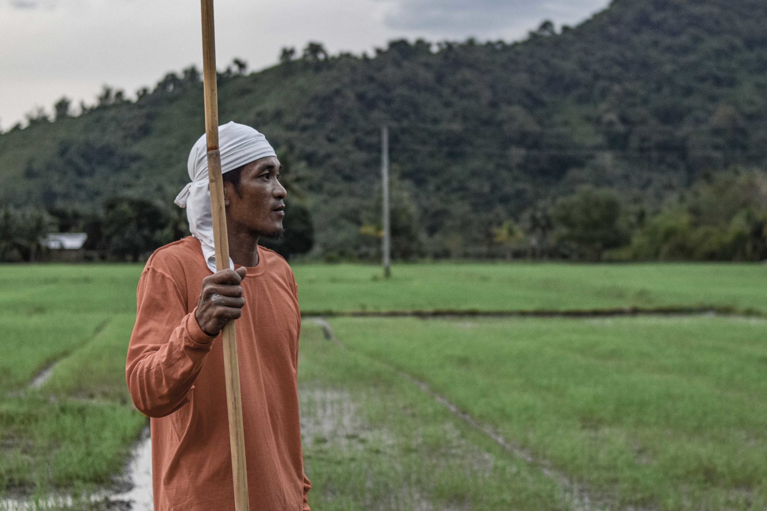 Mga Puhon Sa Kahimtang A Reflection From The Southern Philippine Farmlands